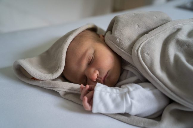 2024-11-02-Merle-063-scaled