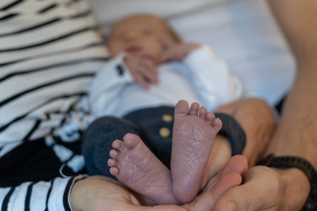 2024-11-03-Merle-054-scaled